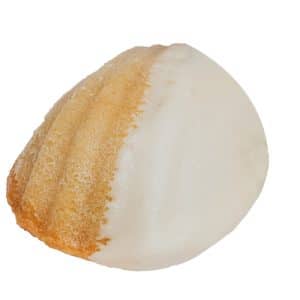 Madeleine vanille et orange